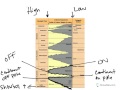 Geological Concepts and Sea Level Changes
