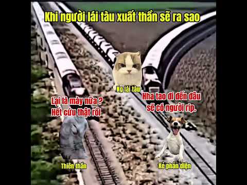 Khi lái tàu xuất thần#meme #cat #funny #short #pets