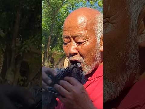 Why Chinese Call Lotus Leaf Charcoal ‘Black Gold’ | Traditional Detox Secret"#farming #shorts
