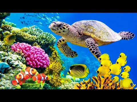 Soothing Sounds to Ease Anxiety, Stress & Depression – Deep Healing Relaxing Music