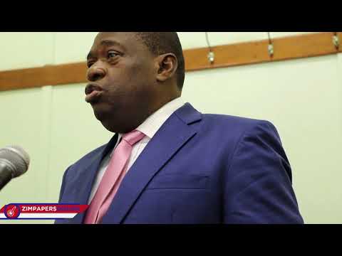 Germany Pledges Lines Of Credit For Zimbabwe 29 August 2018