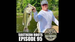 Southern Roots: Growing Up In The South