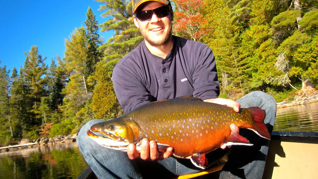 Blue Fox Camp - Ontario - The New Fly Fisher