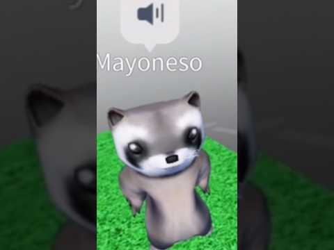 Un MAPACHE RARO  😂 #plsdonate #doors #robloxedit #brokhaven #micup #fypシ #humor #parati #roblox
