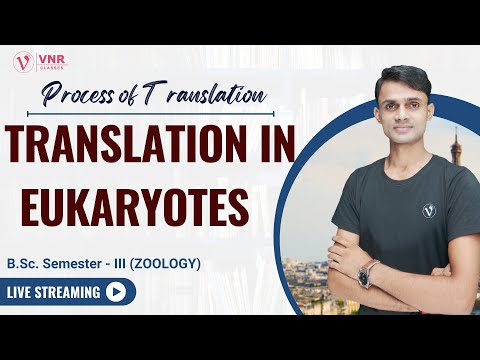 (17) TRANSLATION IN EUKARYOTES  ||  B.Sc. SEMESTER- III, ZOOLOGY || PRAHALAD SINGH