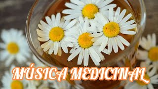 Hungarian Dance No 5 - Johannes Brahms | Versión PIANO 🎹 sin Anuncios ni Copyright, Música Clásica