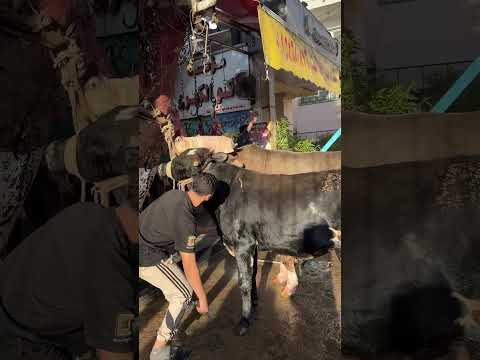 اذكر الله
