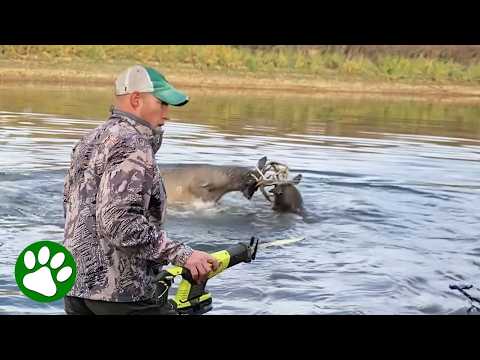 Brave men save buck with a saw