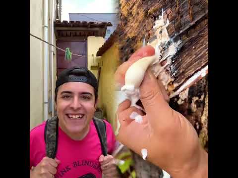 Ja passaram de ano? 😅