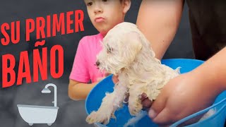 EL PRIMER BAÑO DE NUESTRO PERRITO!! 🐶🛁 || FAMILIA SG