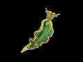 Sea Slug Photosynthesis Mechanisms