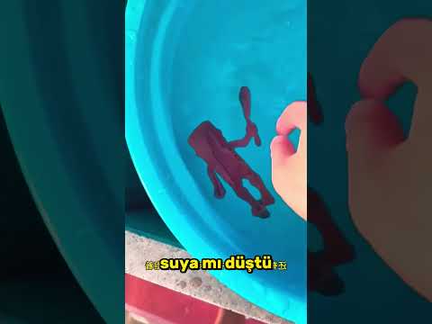 Bu Oyuncak Neden Her Yerden Çıkıyor.. 🧸😳