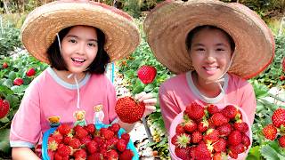 หนูยิ้มหนูแย้ม ล่าขุมทรัพย์สตรอว์เบอร์รี่! เก็บสดจากสวนที่ไร่ลุงคำ เชียงใหม่ 🍓🌿