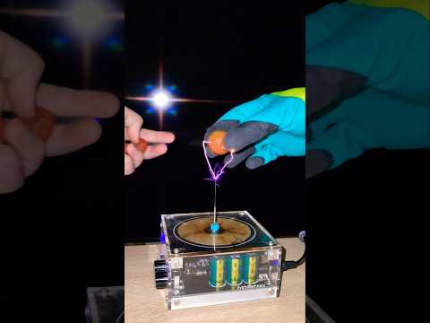 🍅 Mix: Dried cherry tomatoes + tesla coil #experiment #vegetables #physics