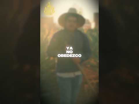 "Cinco Letras" - Alto Cielo Music #corridoscristianos