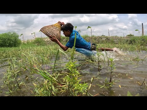 Fishing Polo|Amazing Boy Polo Fishing 2024|