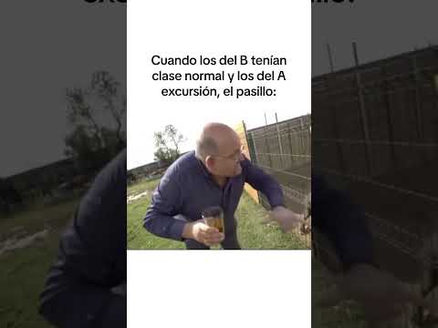 ¿De qué clase erais😂? #humor #españa