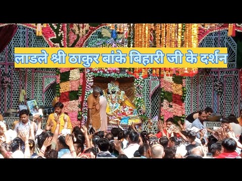 श्री ठाकुर बांके बिहारी जी के दर्शनll #bakebiharimandir #viralvideo #vrindavandham