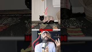 Este GATO tiene una misteriosa doble VIDA 😱 #sabiasque #curiosidades