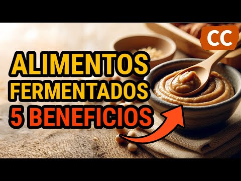 5 BENEFICIOS de los ALIMENTOS FERMENTADOS | Ciencia de la Comida