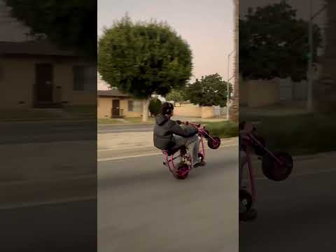 This dude is insane with wheelies #minibike #builtnotbought #wheelie #bikelife #billet #racing