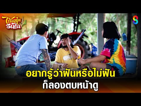 อยากรู้ว่าฝันหรือไม่ฝัน ก็ลองตบหน้าดู | HIGHLIGHT ไอ้หนุ่มรถไถ EP.4 | ละครช่อง8