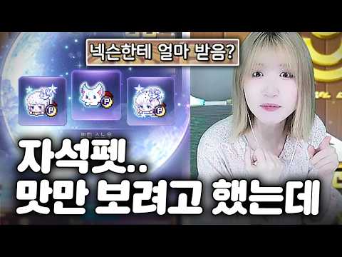 메린이 3석펫 60만원 컷했습니다 [메이플스토리]