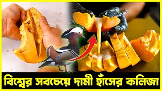 বিশ্বর সবচেয়ে দামি হাঁসের কলিজা, প্রতি পিস ২০ হাজার টাকা! | Agro News