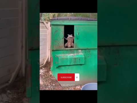 Funny Animals 2023 ? - Funniest Cats and Dogs video ? ? #shorts