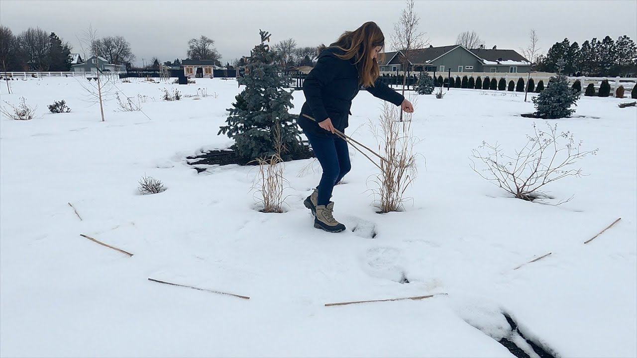 Planting Poppies In the Snow!
