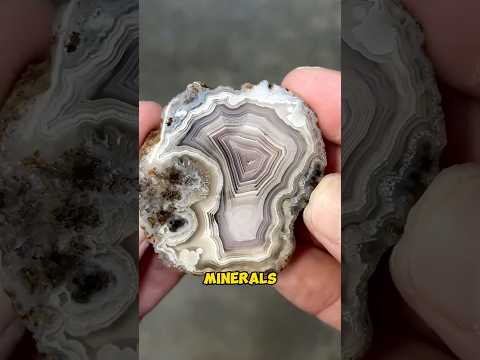 Finger vs Diamond Saw