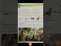 Photosynthesis and Energy Flow Concepts