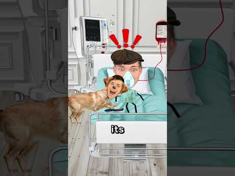 Dog Shoots A Shotgun At His Owner 😨