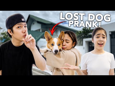 LOST Dog Prank On Girlfriend!! (Umiyak haha!) | Ranz and Niana