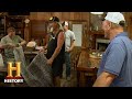 Gator and Snake Trade Discussion