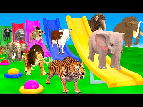 Long Slide Game With Elephant Gorilla Buffalo Hippopotamus Tiger 3d Animal Game Funny 3d Animals