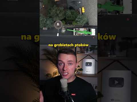 Bociany Z Kamerami Poleciały Do Afryki