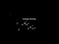 Exploring Intermolecular Forces in Chemistry