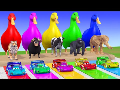 Long Slide Game With Cow Elephant Gorilla Hippopotamus Tiger - 3d Animal Game - Funny 3d Animals