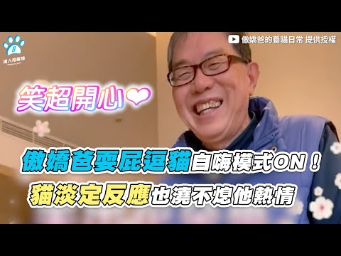 【 傲嬌爸耍屁逗貓自嗨模式ON！ 貓淡定反應也澆不熄他熱情  】｜@傲嬌爸的養貓日常