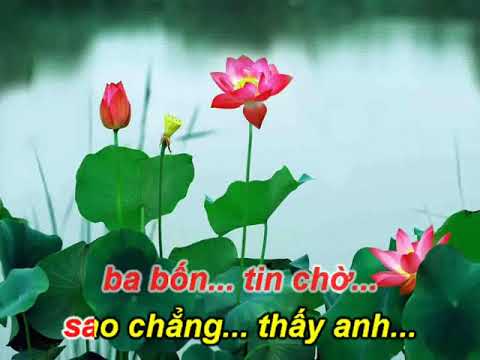 Beo dat may troi karaoke danca beat chuan