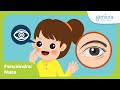 Understanding the Human Eye