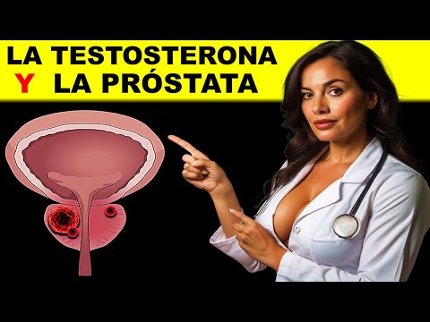 CÓMO LA TESTOSTERONA AFECTA LA PRÓSTATA 🔴