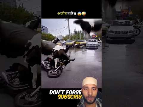 "In This City, Animals Fall from the Sky – You Won’t Believe What Happens Next!" #shorts