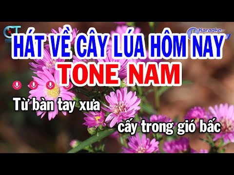 Karaoke Hát Về Cây Lúa Hôm Nay Tone Nam ( Fm ) Nhạc Sống Cha Cha | Karaoke Đồng Sen