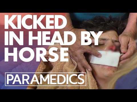 Man kicked in the face by a horse