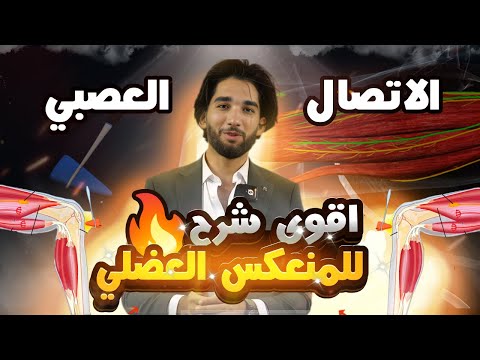 ثانية ثانوي ا أقوى🤯 شرح لدرس المنعكس العضلي 🔥