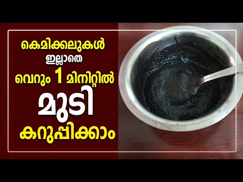 കെമിക്കലുകൾ ഇല്ലാതെ വെറും 1 മിനിറ്റിൽ മുടി കറുപ്പിക്കാം | 100% Natural Hair Dye Malayalam | Hair Dye