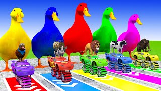 5 Giant Duck Cartoon,Cow,Rabbit,Dog,Lion,Tiger,Paint Wild Animals Crossing Fountain Animation