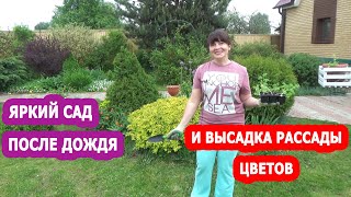 видео